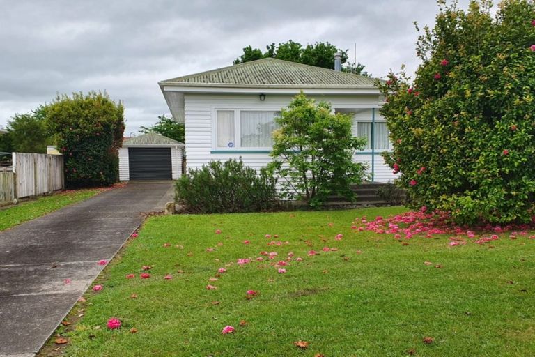 Photo of property in 20 Bracken Avenue, Te Aroha, 3320