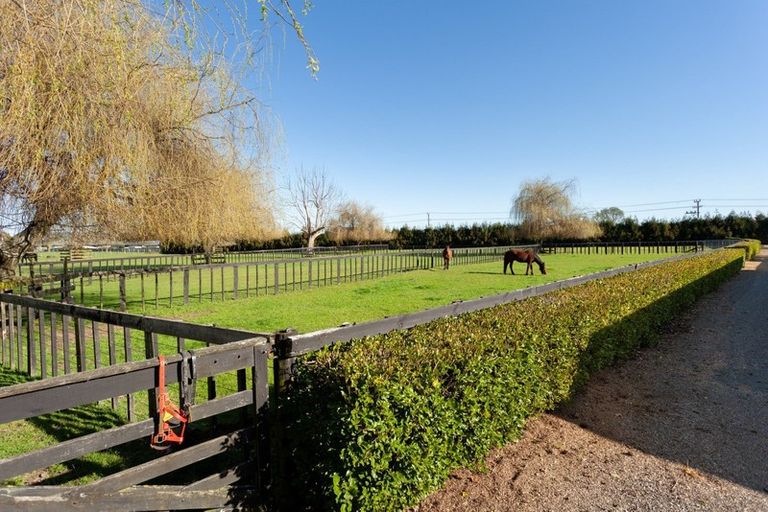 Photo of property in 78 Tower Road, Matamata, 3471