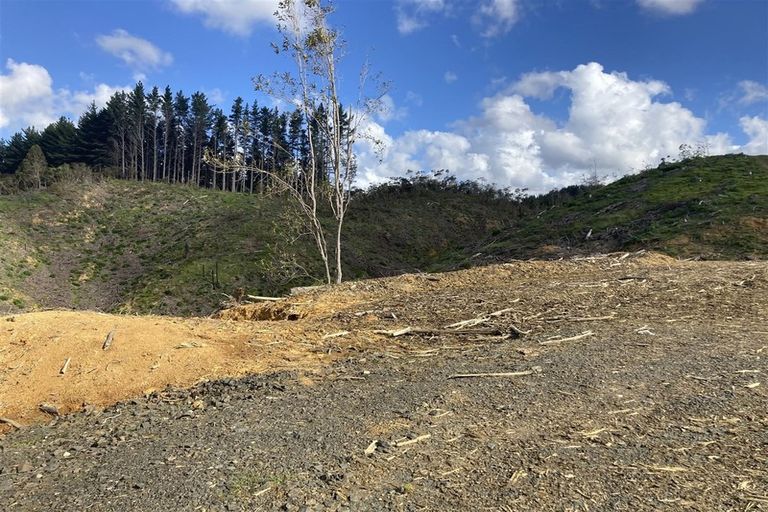 Photo of property in 1870 The 309 Road, Kaimarama, Whitianga, 3591