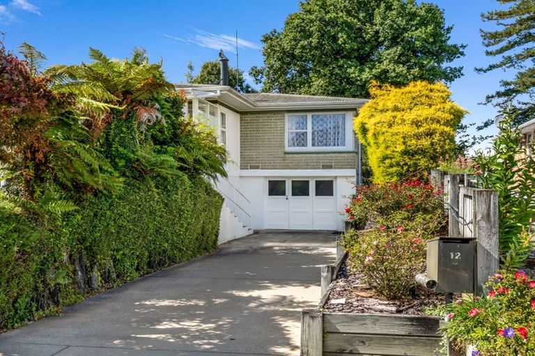 Photo of property in 12 Delphi Place, Sunnybrook, Rotorua, 3015
