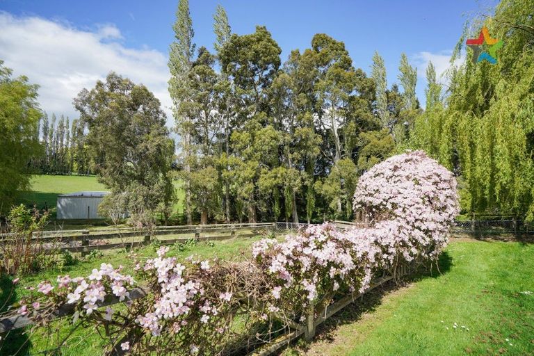 Photo of property in 72 Bush Street, Lumsden, 9730