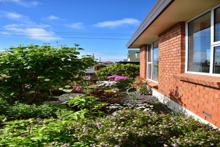 Photo of property in 8 Hardy Street, Saint Kilda, Dunedin, 9012