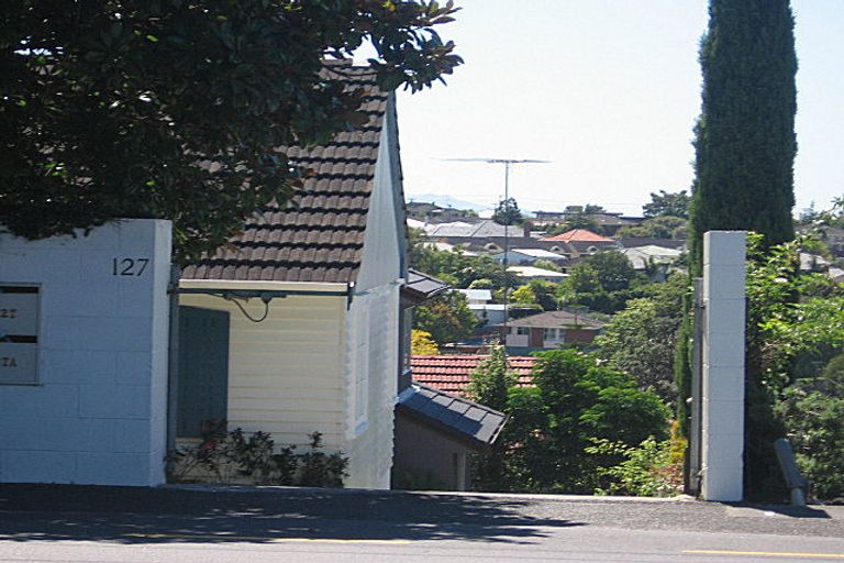 Photo of property in 127 Forrest Hill Road, Forrest Hill, Auckland, 0620