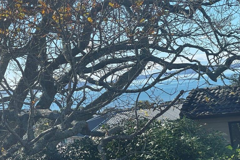 Photo of property in 3 View Road, Shelly Park, Auckland, 2014