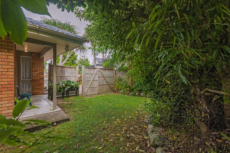 Photo of property in 7 Brightwater Terrace, Terrace End, Palmerston North, 4410