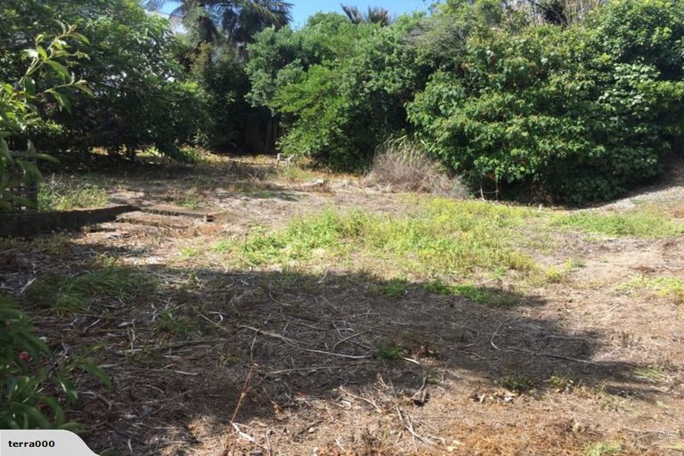 Photo of property in 41a Dorset Avenue, Westown, New Plymouth, 4310