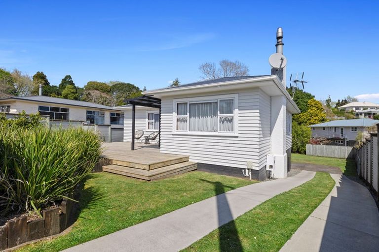 Photo of property in 31 Essex Street, Vogeltown, New Plymouth, 4310