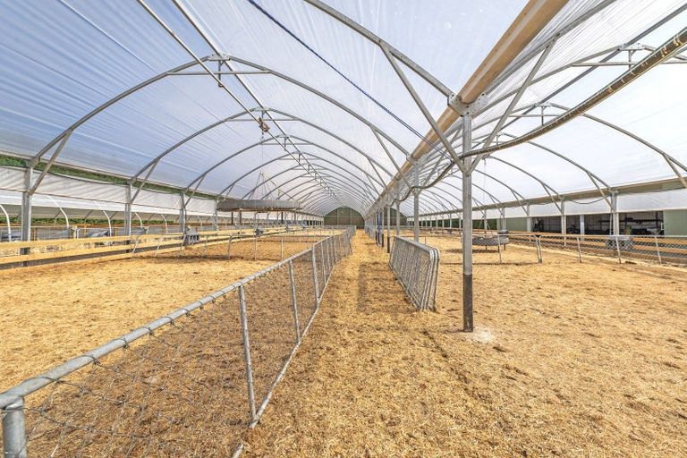 Photo of property in 391 Sharlands Road, Dunsandel, Rakaia, 7783