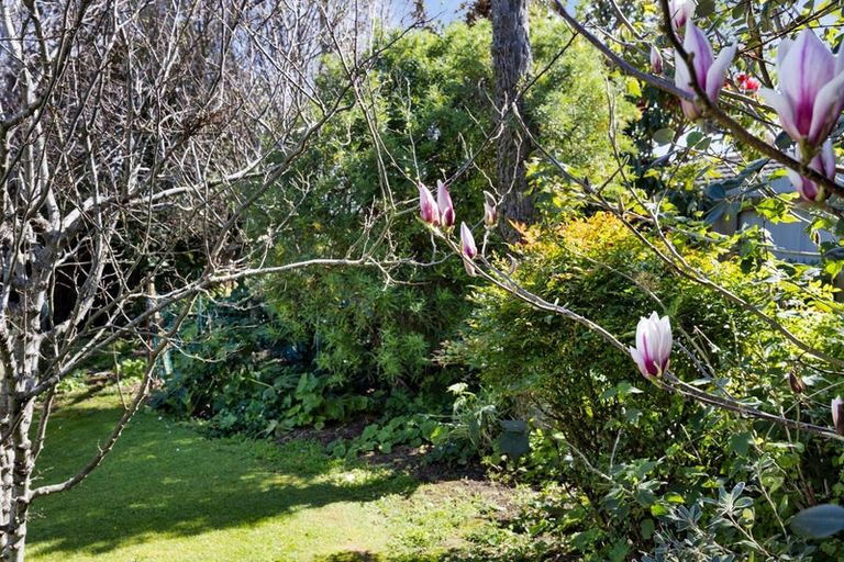 Photo of property in 57 Dixon Avenue, Hawera, 4610