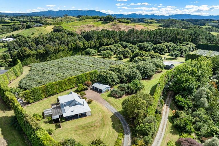 Photo of property in 168 Youngson Road, Whakamarama, Tauranga, 3179