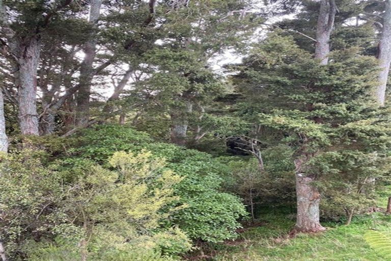 Photo of property in 87 Kopuku Road, Waerenga, Te Kauwhata, 3781