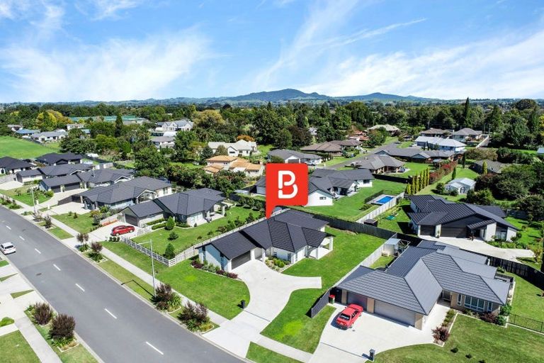 Photo of property in 13 Richardson Road, Matamata, 3400