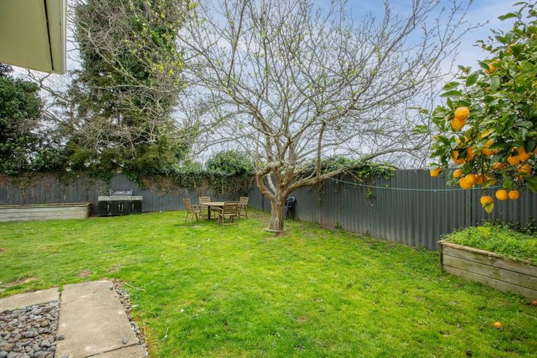 Photo of property in 25 Dalton Crescent, Dinsdale, Hamilton, 3204