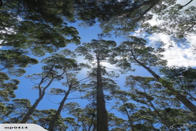 Photo of property in 59 Harbour View Rise, Mangonui, 0494