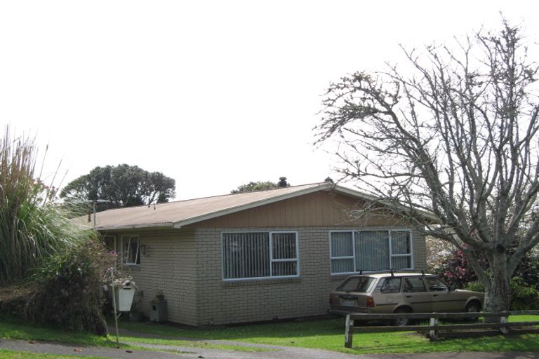 Photo of property in 50 Stafford Street Extension, Waitara, 4320