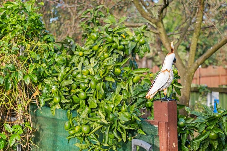 Photo of property in 1 Airedale Place, Waitara, 4320