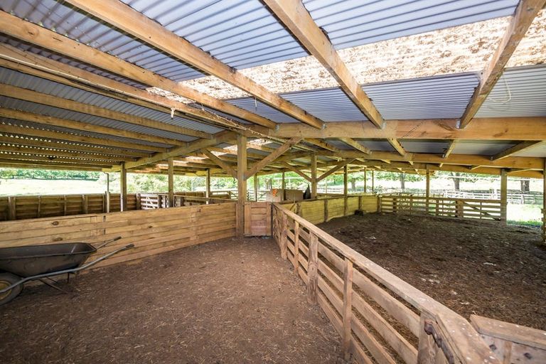 Photo of property in 1819 Mataraua Road, Otaua, Kaikohe, 0474