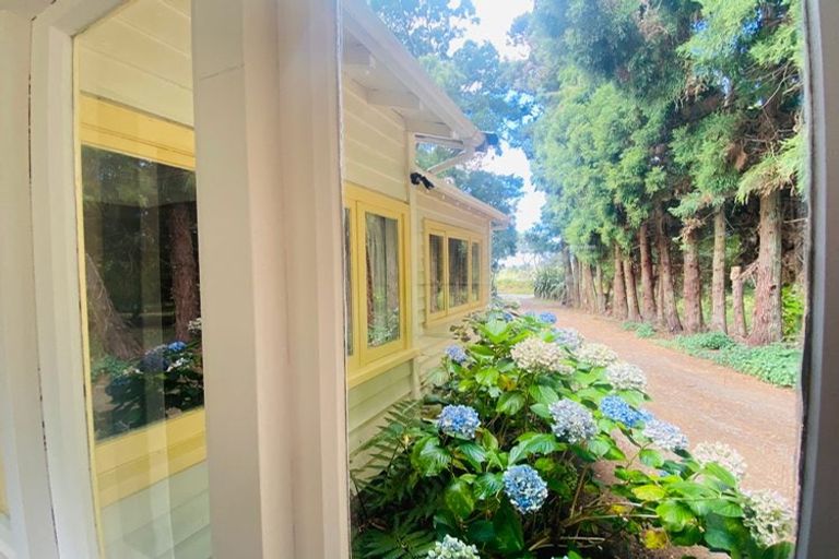 Photo of property in 134 Rimmer Road, Helensville, 0875