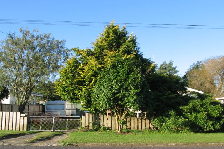 Photo of property in 66 Totara Street, Putaruru, 3411