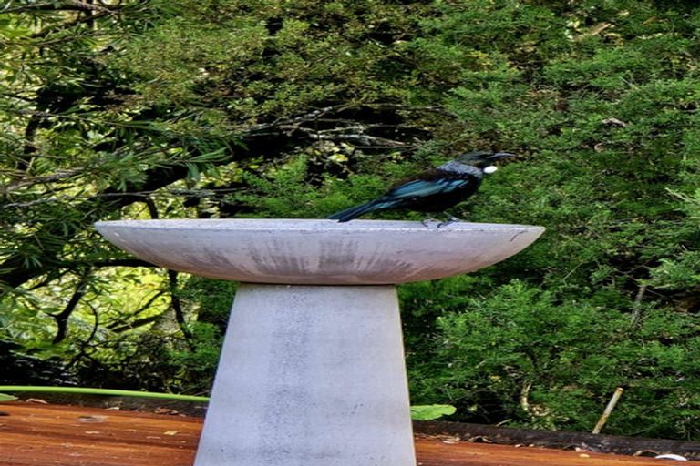 Photo of property in 265 Hill Road, Eskdale, Napier, 4182