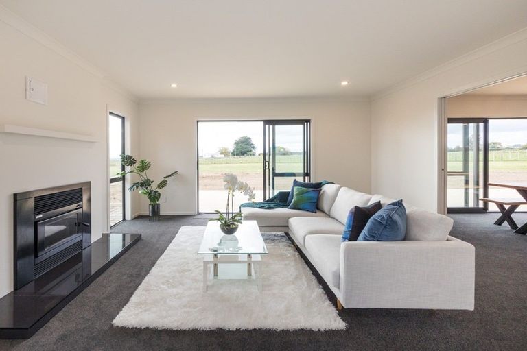 Photo of property in 1298 Taonui Road, Colyton, Feilding, 4775