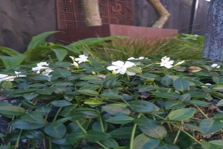 Photo of property in 2/57a Beachville Road, Redcliffs, Christchurch, 8081