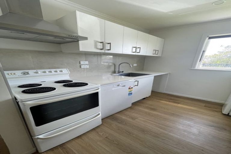 Photo of property in 113 Ferry Parade, Herald Island, Auckland, 0618