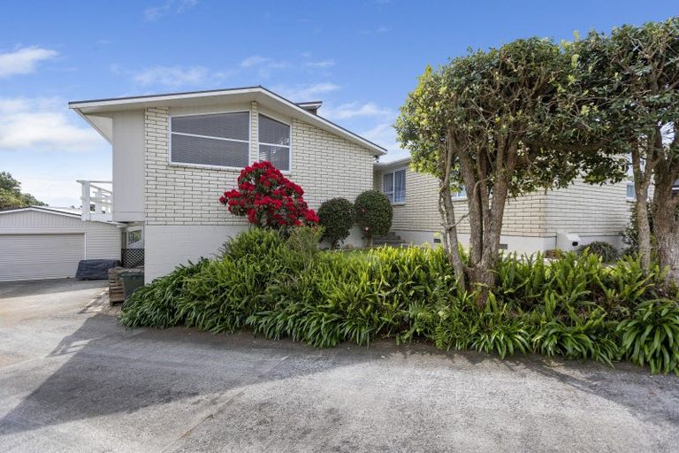 Photo of property in 41 Discovery Place, Marfell, New Plymouth, 4310