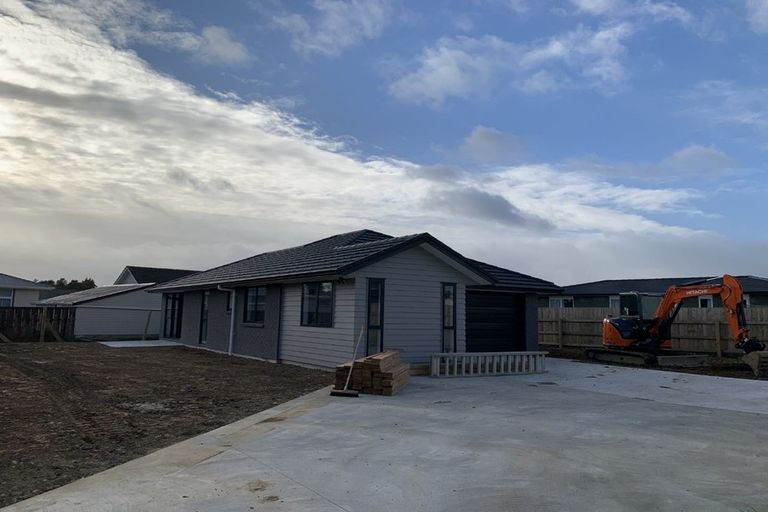 Photo of property in 98 Hinemoa Street, Levin, 5510