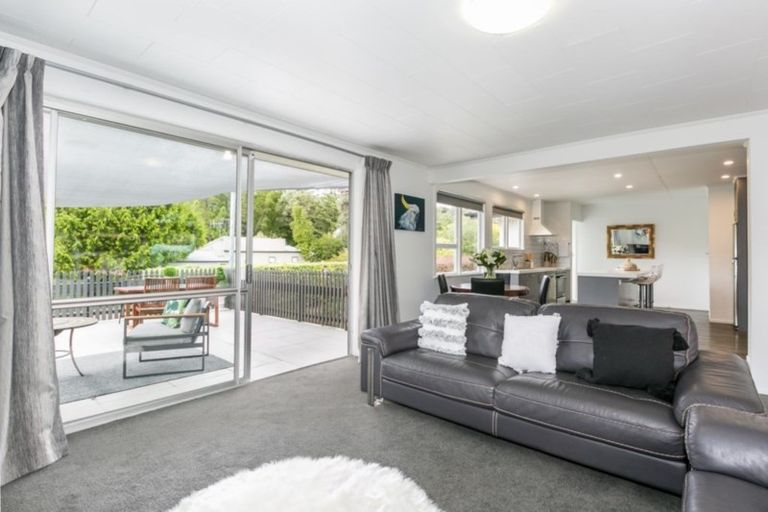 Photo of property in 20 Tokomaru Drive, Havelock North, 4130