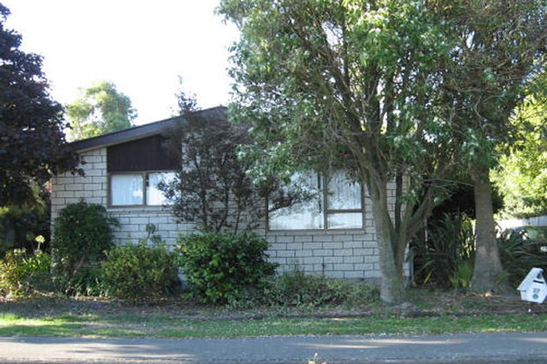 Photo of property in 37 Pound Road, Leeston, 7632
