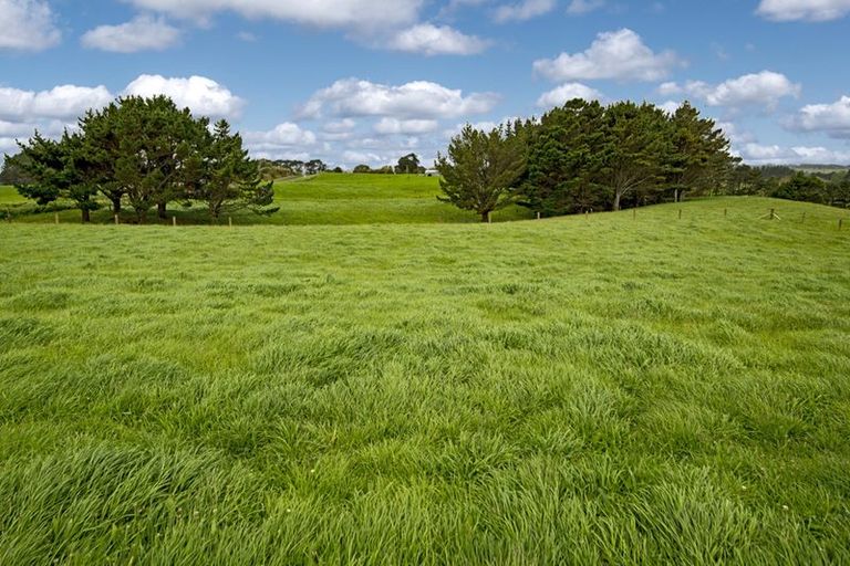 Photo of property in 175 Butchers Bridge Road, Otaua, Waiuku, 2683
