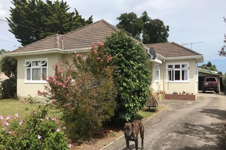 Photo of property in 57 Salisbury Street, Levin, 5510