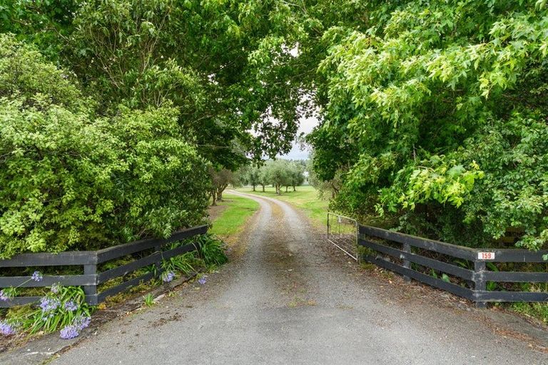 Photo of property in 159 Kawakawa Road, Feilding, 4775