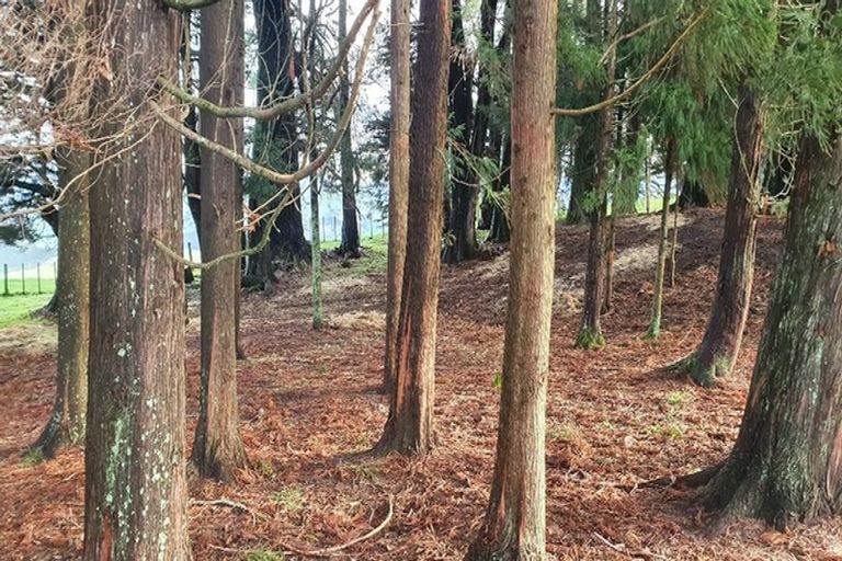 Photo of property in 1875 Kanakanaia Road, Whatatutu, Te Karaka, 4091