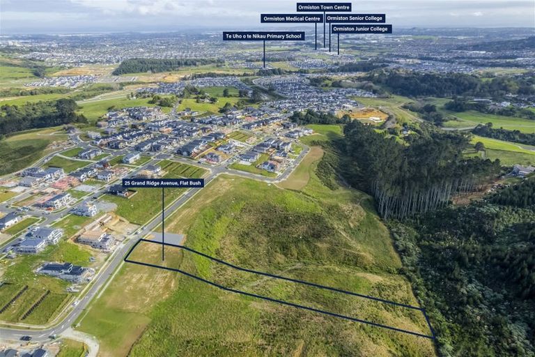 Photo of property in 25 Grand Ridge Avenue, Flat Bush, Auckland, 2019