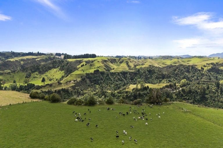 Photo of property in 1 Takapari Road, Pohangina, Ashhurst, 4884