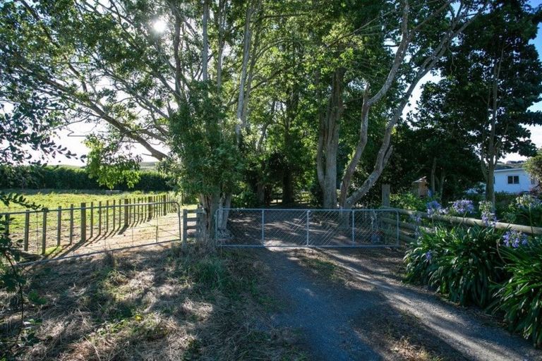 Photo of property in 429 Morgan Road, Matamata, 3472