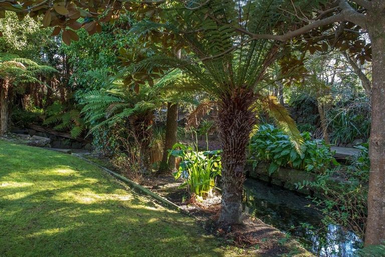 Photo of property in 118 Straven Road, Fendalton, Christchurch, 8014