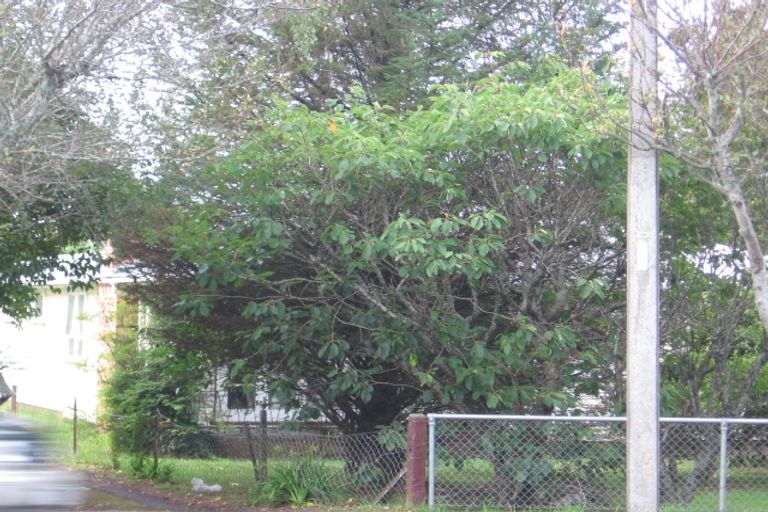 Photo of property in 55 Swanson Road, Henderson, Auckland, 0610