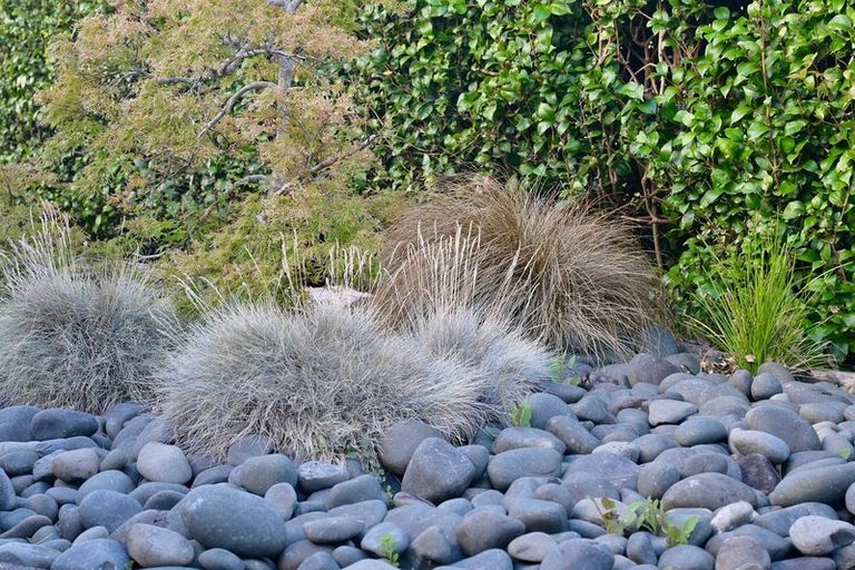 Photo of property in 11 View Road, Shelly Park, Auckland, 2014