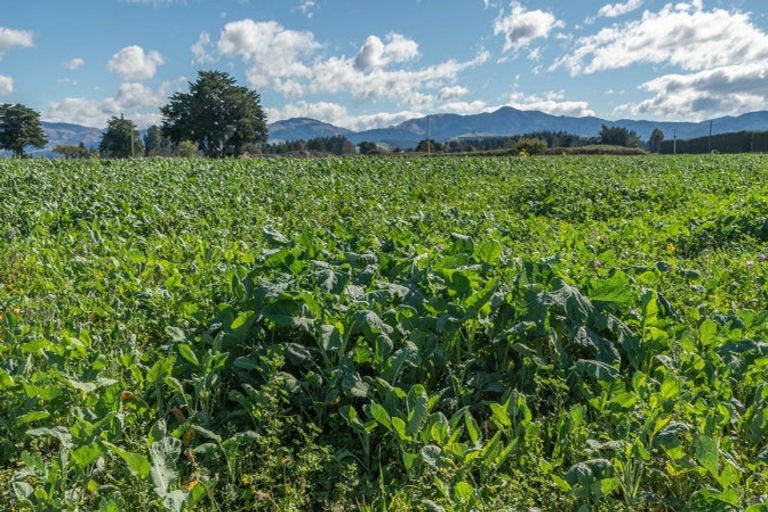 Photo of property in 375 Stonyflat Road, Loburn, Rangiora, 7472