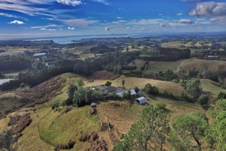 Photo of property in 260a Willoughby Road, Tahawai, Katikati, 3170