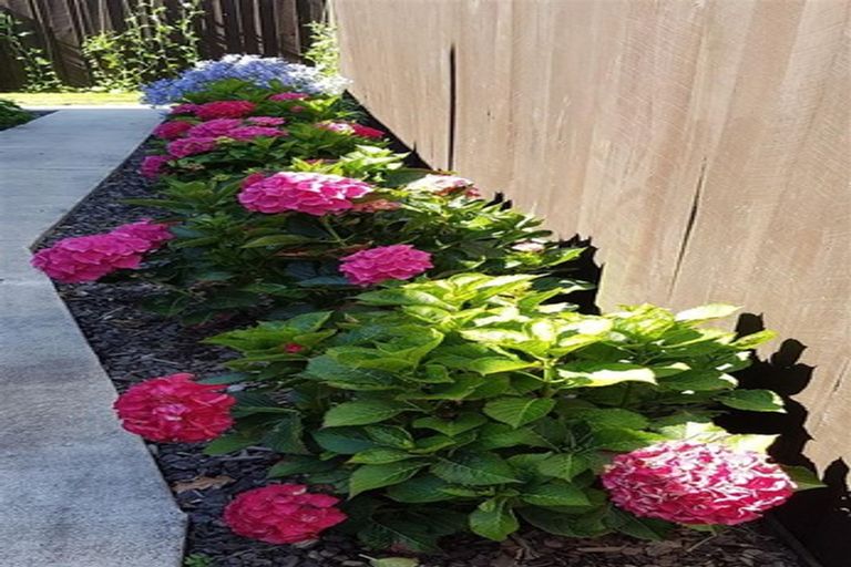 Photo of property in 2/444 Harewood Road, Harewood, Christchurch, 8051