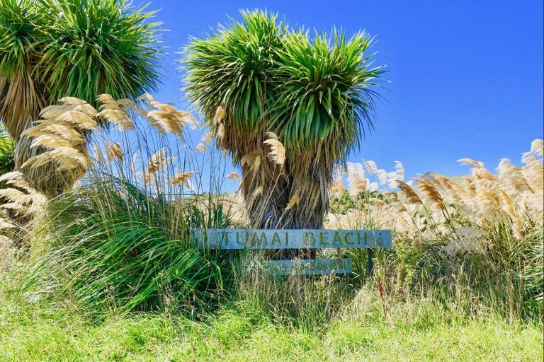 Photo of property in 370 Thorburn Road, Waikouaiti, 9472