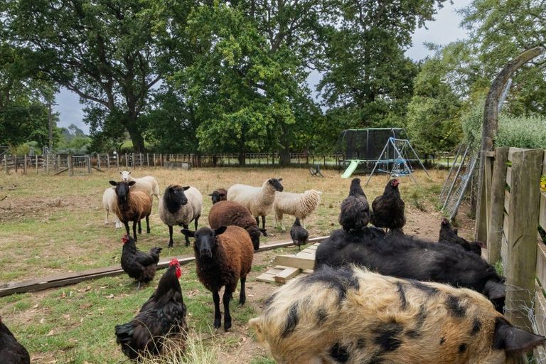 Photo of property in 42 Flux Road, Mangaroa, Upper Hutt, 5371