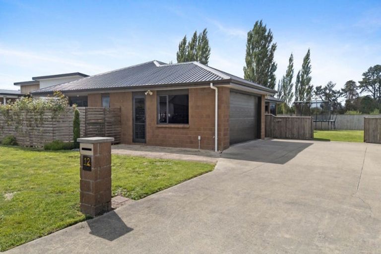 Photo of property in 12 Molesworth Street, Carterton, 5713
