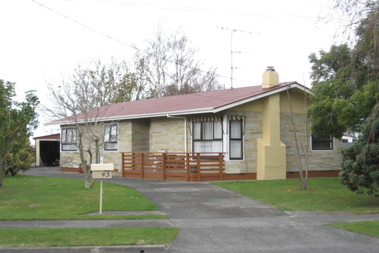 Photo of property in 43 Masefield Avenue, Maraenui, Napier, 4110