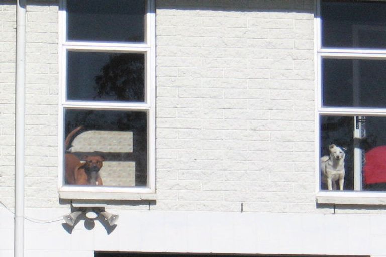 Photo of property in 64 Glen Lynne Avenue, Queenwood, Hamilton, 3210