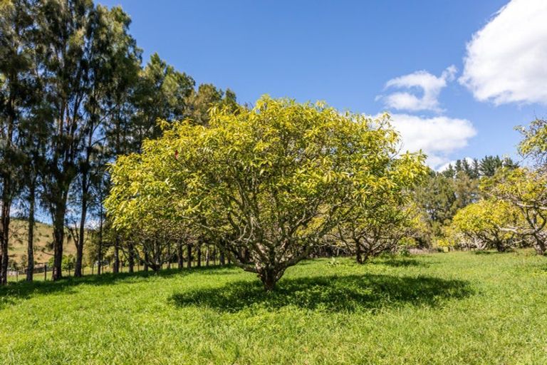 Photo of property in 49 Kaimarama Road, Kaimarama, Whitianga, 3591